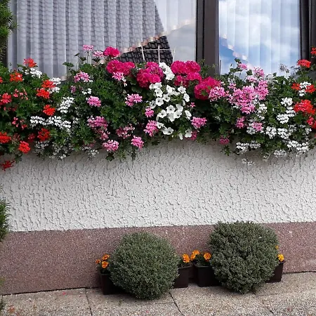 Haus Auersburg * Hilders