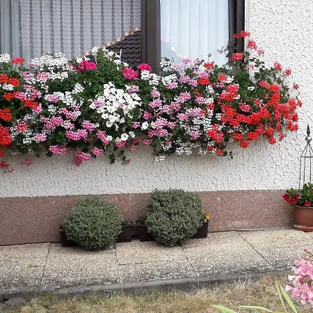 Haus Auersburg *